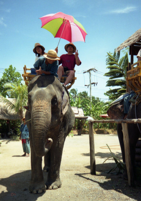 Phuket elephant ride