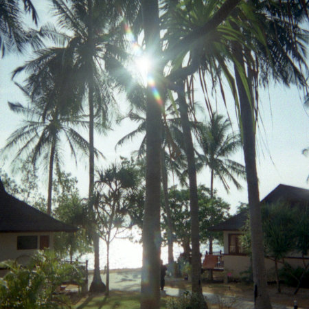 Phuket Phi Phi Island