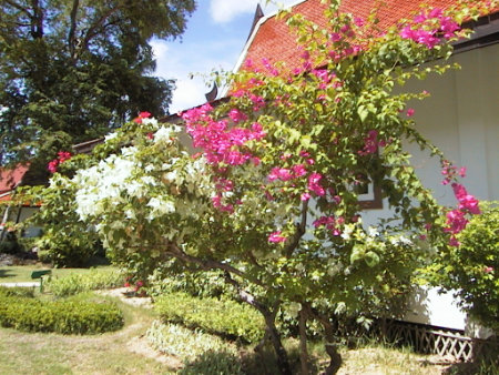 Phuket Maiton island