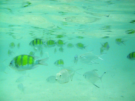 Phuket Maiton island
