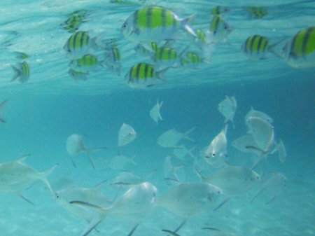 Phuket Maiton island