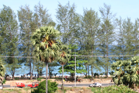 Phuket Karon beach andaman seaview hotel