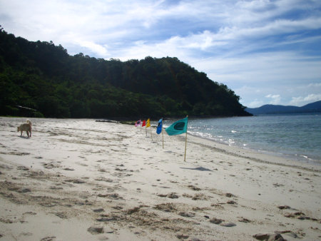 Phuket Coral Island