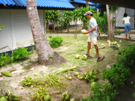 Phuket Coral Island resort hotel