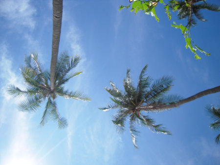Phuket Panwa beach Cape Panwa