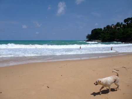 Phuket Surin beach Benyada lodge