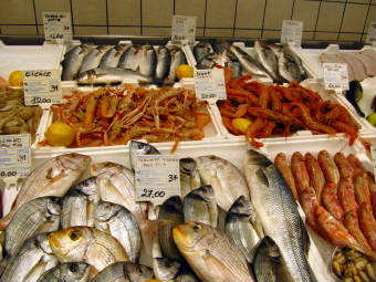 IXgD[j@PESCHERIA IL DELFINO