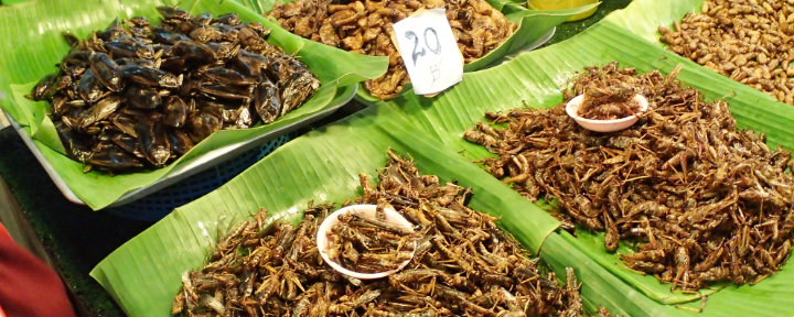 Phuket Chalong Weekend night market