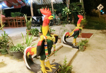 Phuket Friendship beach vijitt resort sabaisabai