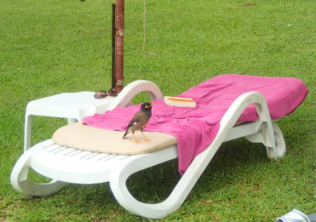 Phuket DUSIT THANI LAGNA 
