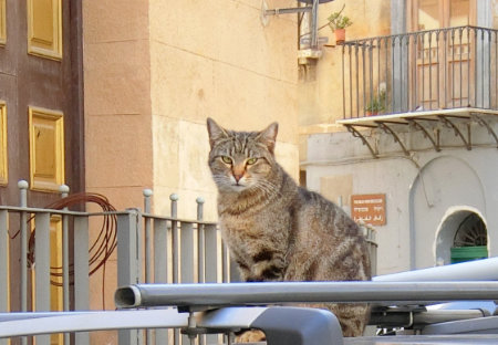 Italy Palermo 
