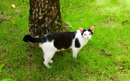 カオラック　ナントンビーチ　シービューリゾートホテル