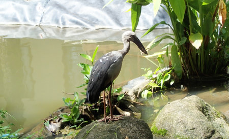 カオラック　ナントンビーチ　シービューリゾートホテル